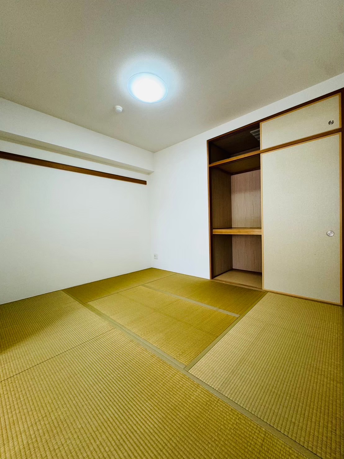 LINE_ALBUM_パデシオン木幡駅前425 リフォーム完了後_240912_6
